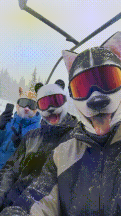 FrostPaws™ | 3D-skidmask med öron